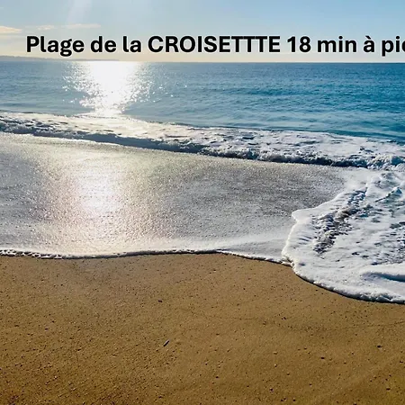 Elegant Terrasse- Proche Plages Et Croisette A0b206 Апартаменты Канны